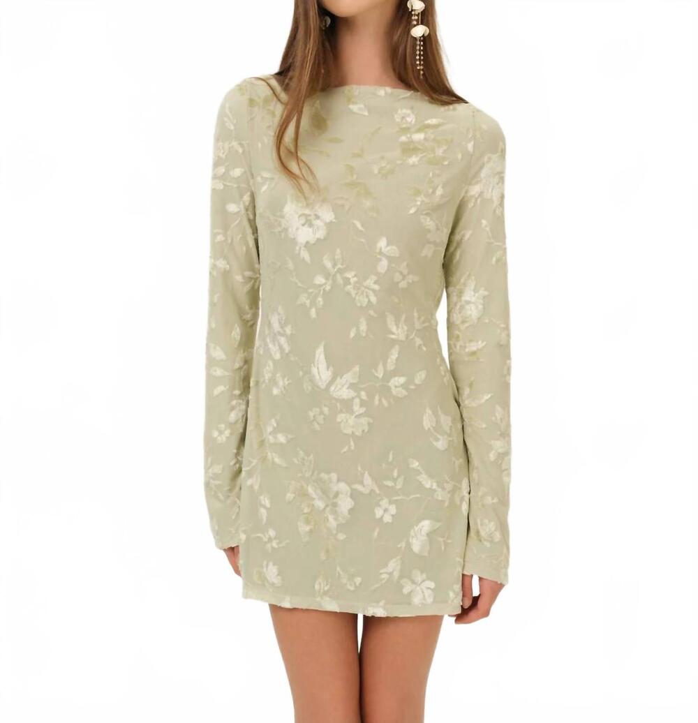 NEW FOR LOVE & LEMONS limesicle mini dress in sage